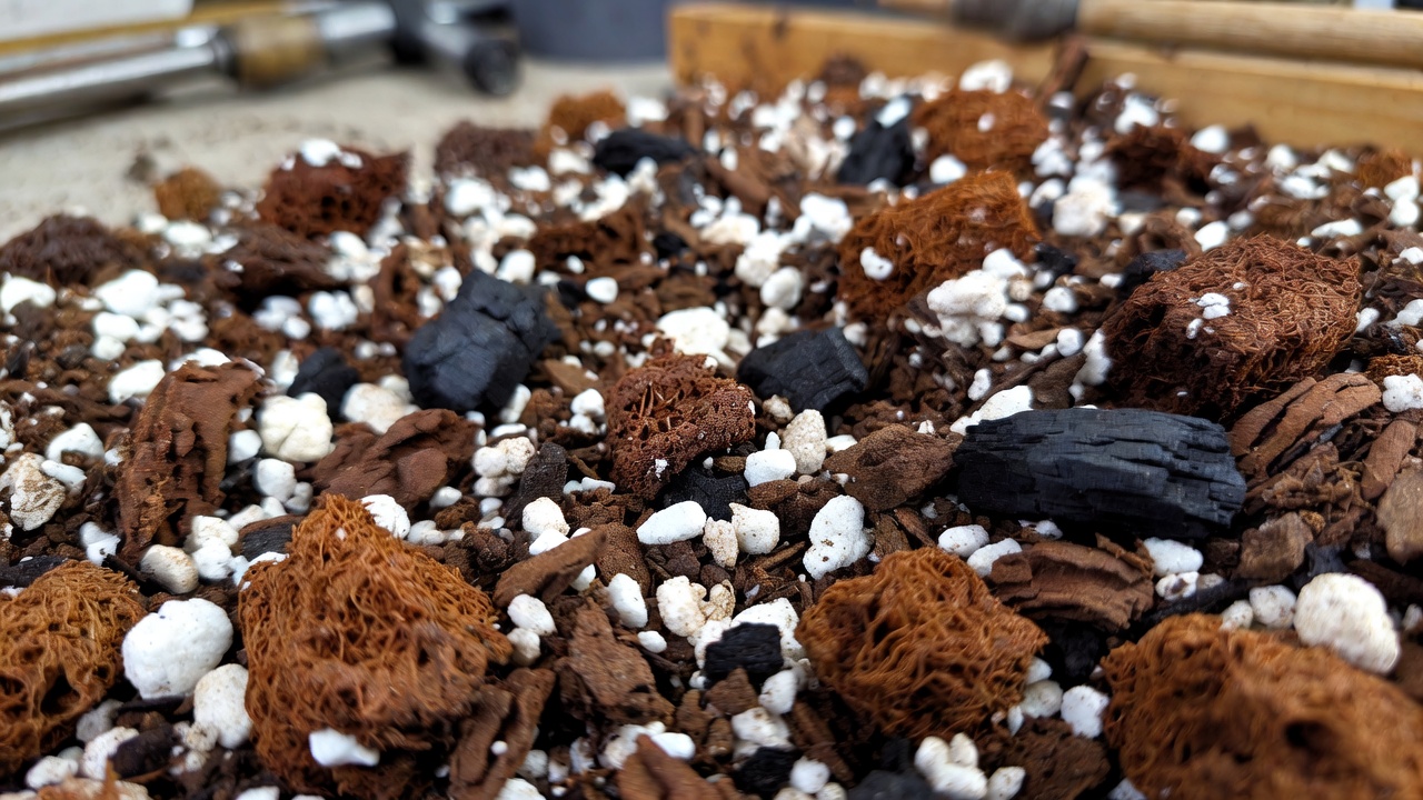 Chunky well-draining soil mix for anthurium clarinervium with bark and perlite