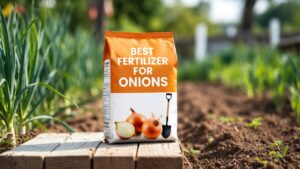 best fertilizer for onions