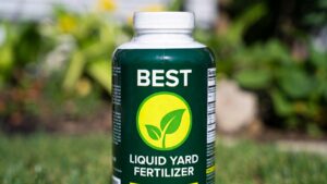 best liquid yard fertilizer