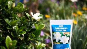 best fertilizer for gardenias
