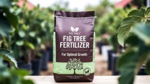 best fertilizer for fig trees