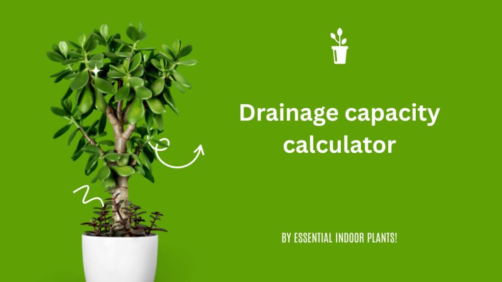 Drainage capacity calculator