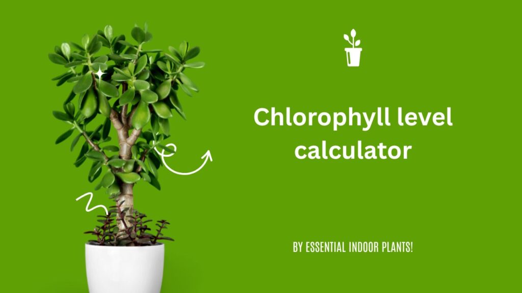 Chlorophyll level calculator