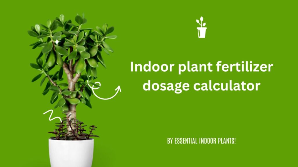 Indoor plant fertilizer dosage calculator