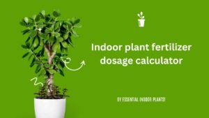 Indoor plant fertilizer dosage calculator