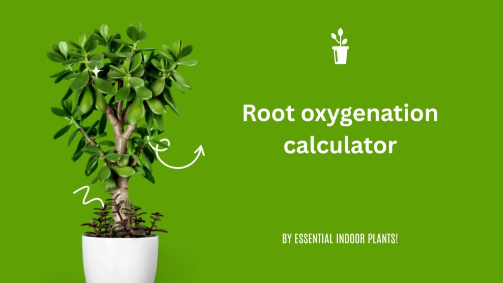 Root oxygenation calculator