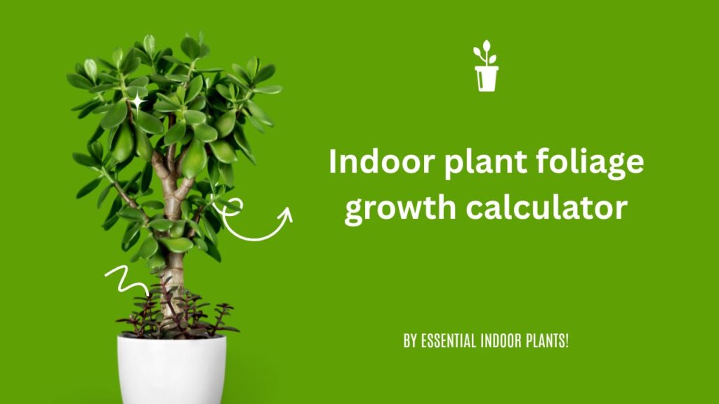 Indoor plant foliage growth calculator