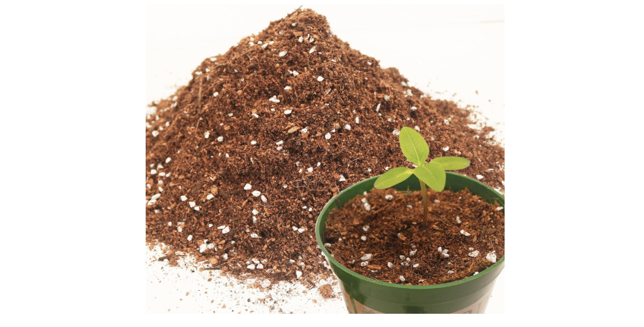 3QT Potting Soil Mix for Indoor Plants - Contains Perlite, Peat Moss, Coco Coir & Rice Charcoal, Natural & Organic Material with Well-Draining,...