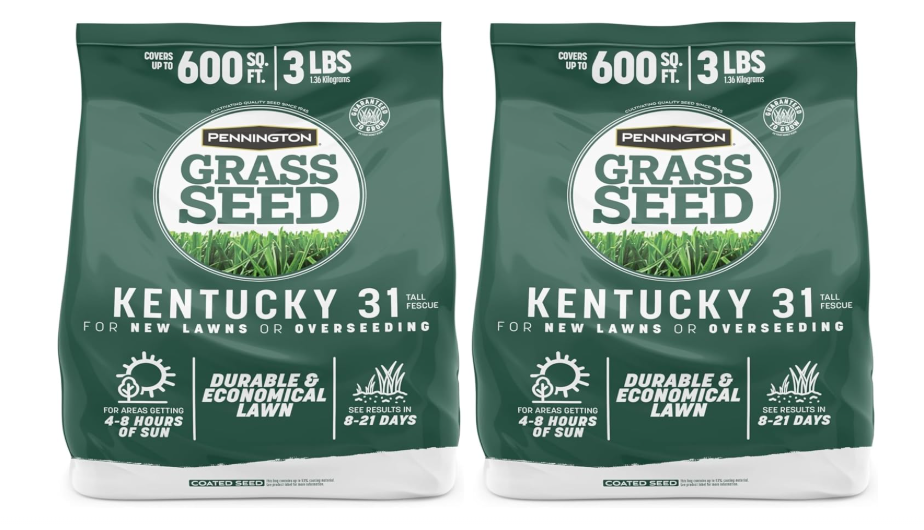 
Pennington Kentucky 31 Tall Fescue Penkoted Grass Seed 3 lb, Green (Pack of 2)