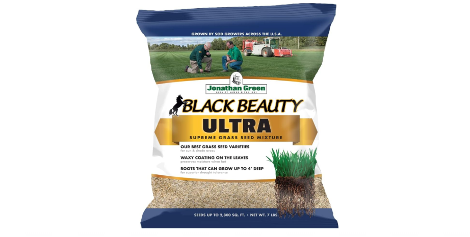Jonathan Green (10322) Black Beauty Ultra Grass Seed - Cool Season Lawn Seed (7 lb)