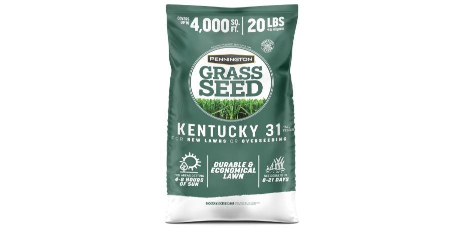 Pennington Kentucky 31 Tall Fescue Grass Seed 20 lb