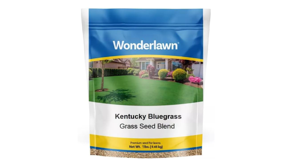 
BARENBRUG USA TVKBG7 TV 7 lb Kentucky Bluegrass Seed