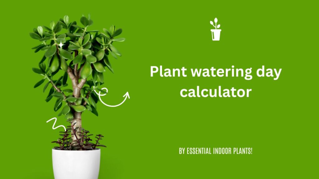 Plant watering day calculator