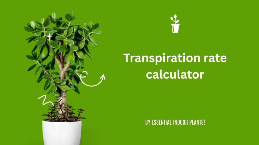 Transpiration rate calculator