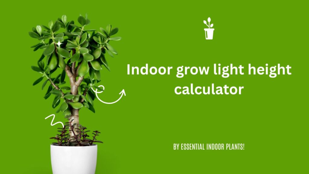 Indoor grow light height calculator