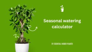Seasonal watering calculator