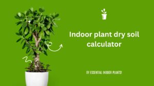 Indoor plant dry soil calculator