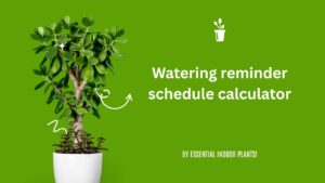 Watering reminder schedule calculator