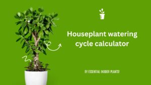 Houseplant watering cycle calculator