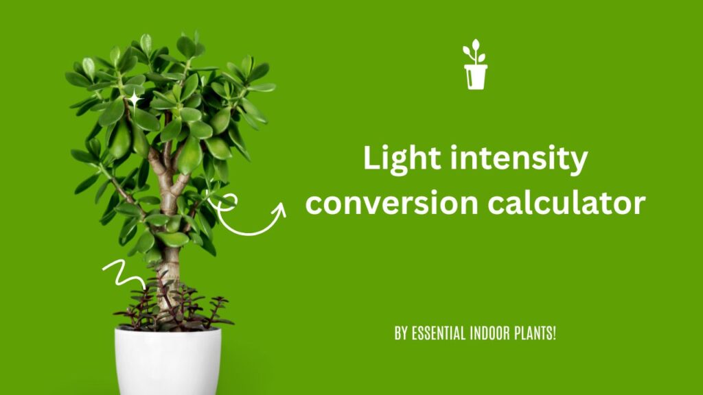 Light intensity conversion calculator