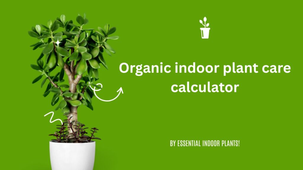 Organic indoor plant care calculator