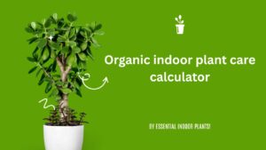 Organic indoor plant care calculator