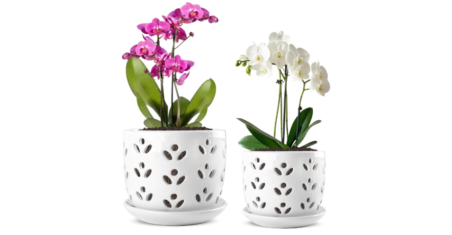 
REMIAWY Orchid Pot, 2 Pack Orchid Pots with Drainage Holes and Saucer, 6 Inch and 5 Inch Large Ceramic Planter for Repotting Indoor Plants, Succulent,...