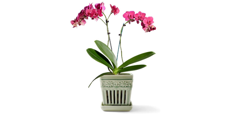 
SUADEN Orchid Pots with Holes | 5" Ceramic Orchid Planter with Separate Saucer and Drainage Holes | Glazed Pottery Small Flower Pot for Repotting...