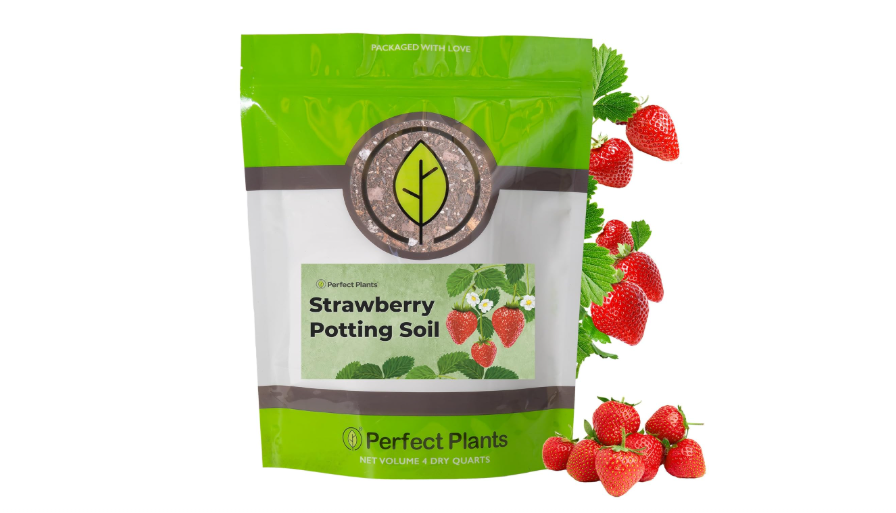  Perfect Plants Organic Strawberry Potting Mix | Organic Premium Mix | Use with Strawberry's, Pineberry's, or Other Fruit Plants (4qt)