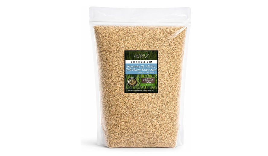 Kentucky 31 K31 Tall Fescue Grass Seed by Eretz - Choose Size! State Certified, No fillers, No Weed or Other Crop Seeds (5lbs)