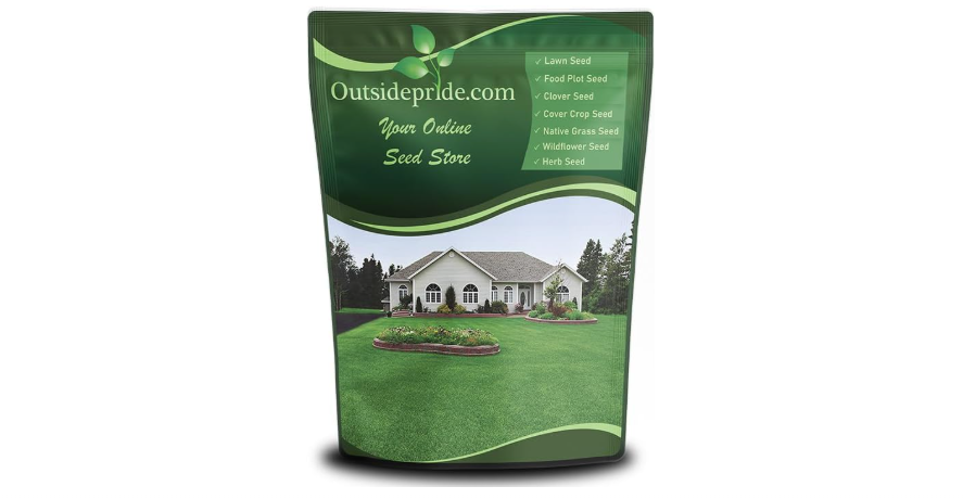  Outsidepride Perennial Buffalo Grass Seed - 2 lbs Heat & Drought Tolerant, Low Maintenance, Warm Season Dense Turf Grass Seed for Lawn, Xeriscape...