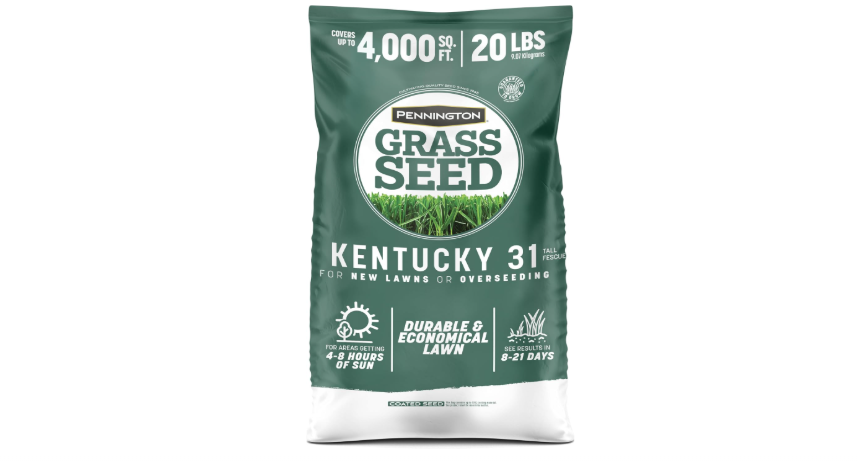Pennington Kentucky 31 Fescue 20 lb Tall Fescue Grass Seed, Grass Seeds for Lawn